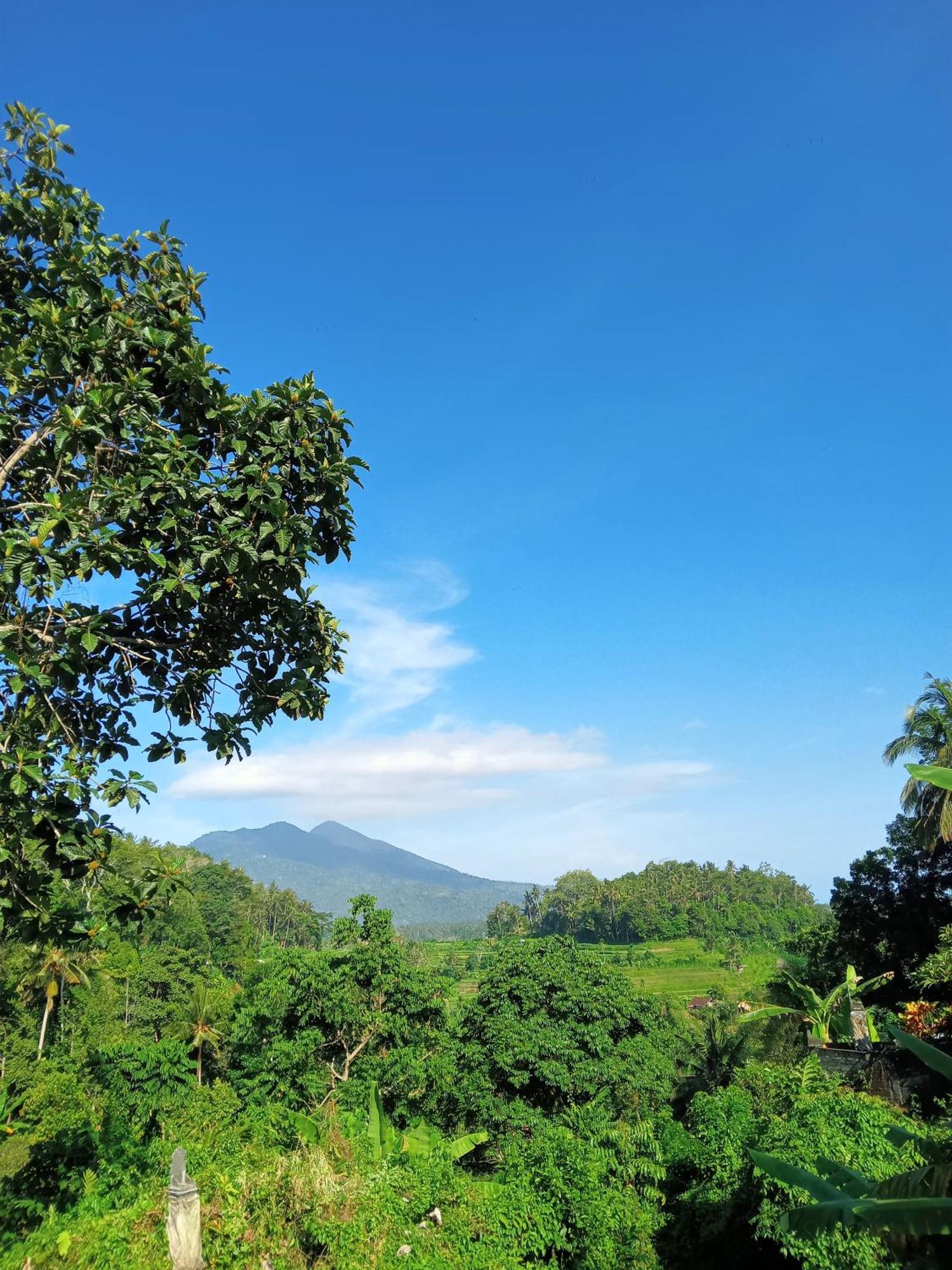 Alamku Bungalow Karangasem Eksteriør bilde