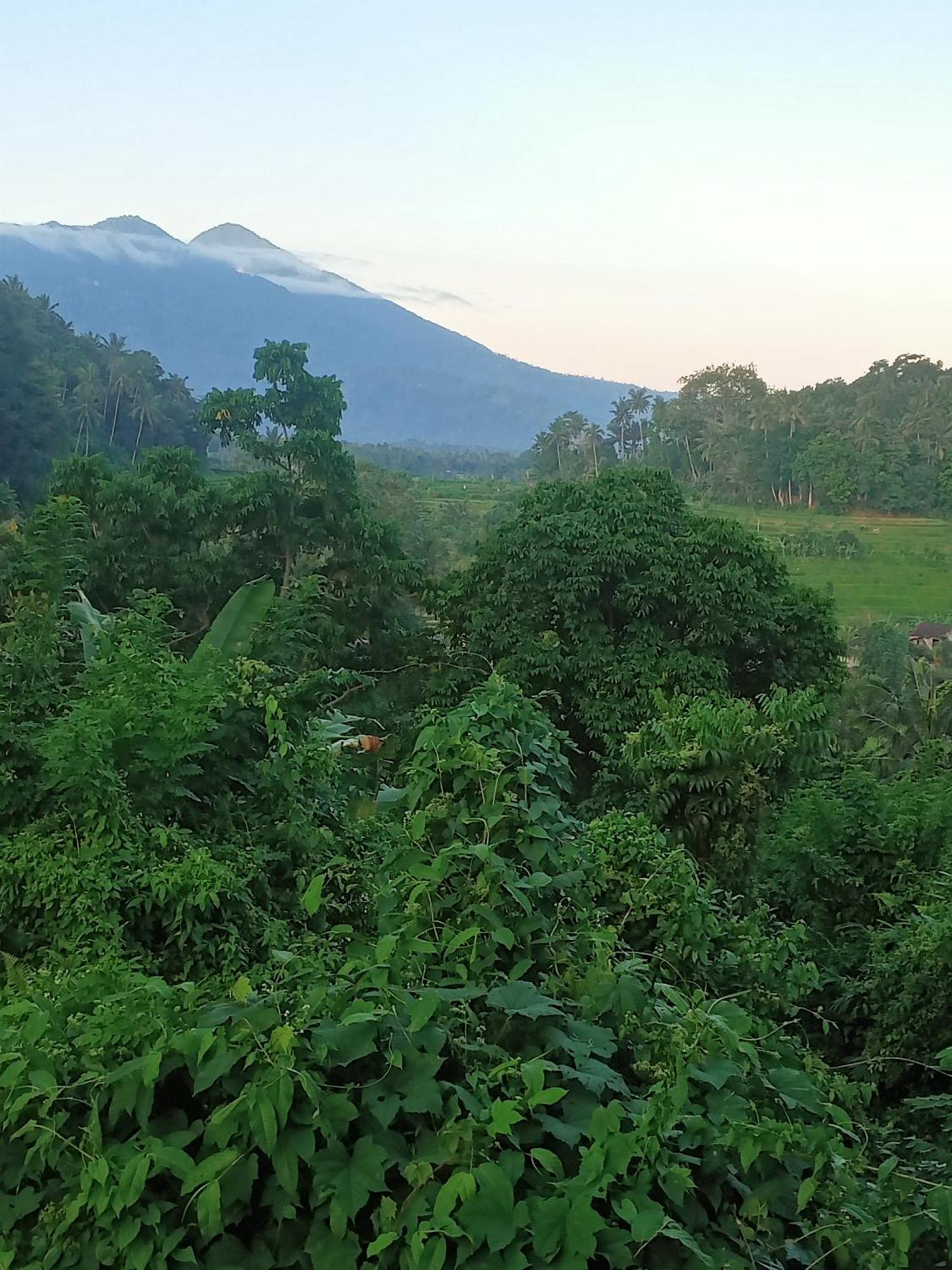 Alamku Bungalow Karangasem Eksteriør bilde