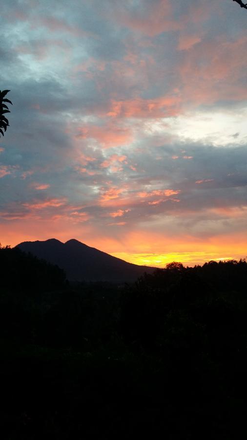 Alamku Bungalow Karangasem Eksteriør bilde